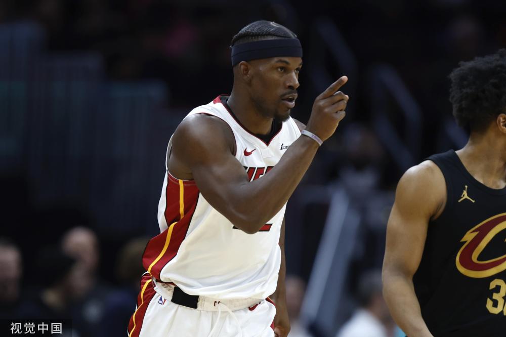 组织环节 组织环节